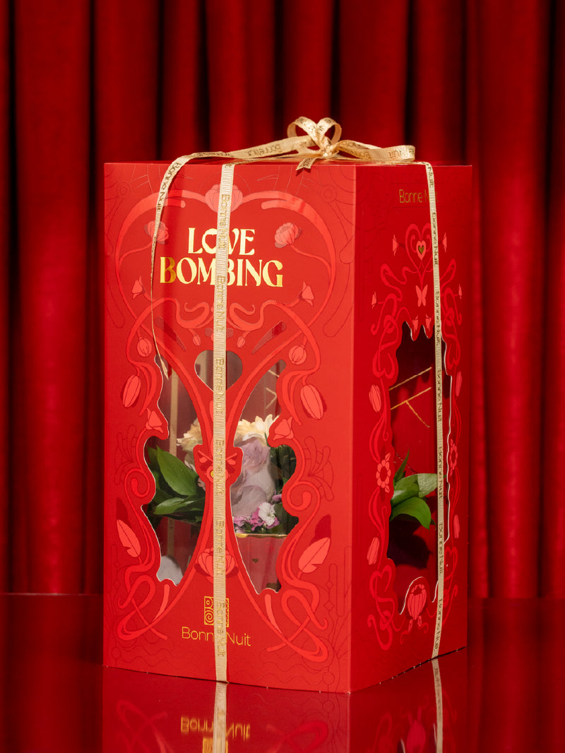 Love Bombing
