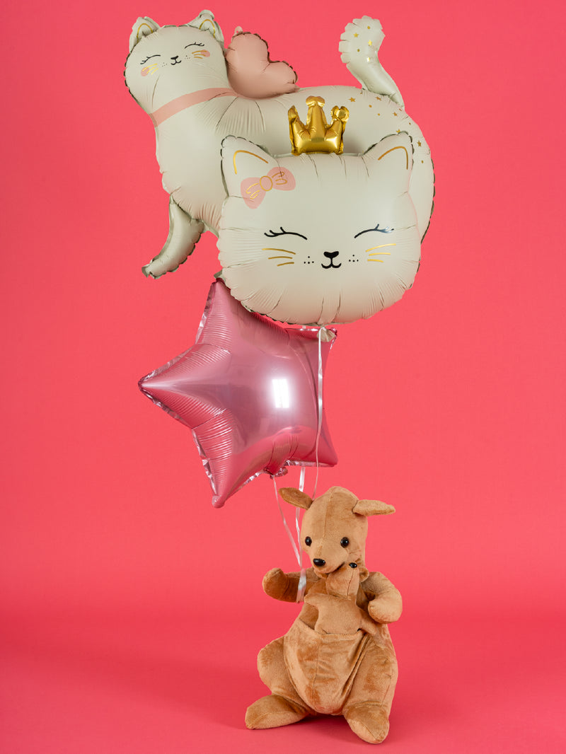 Pelus Kanguru, Uçan Balon Koleksiyonu